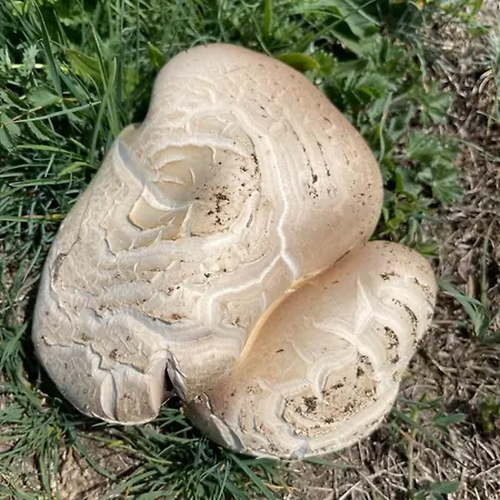 Hostel Cotanda - Casa De Montana Aislada En El Macizo Del Penyagolosa