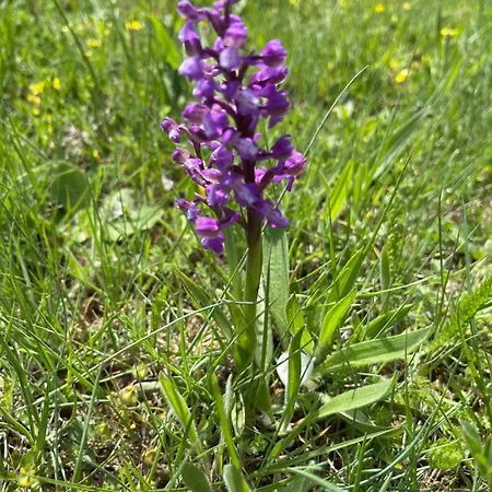 Cotanda - Casa De Montana Aislada En El Macizo Del Penyagolosa Puertomingalvo